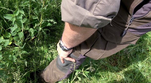 Jäger mit Durchgehhose von HART steht in üppigem Bewuchs