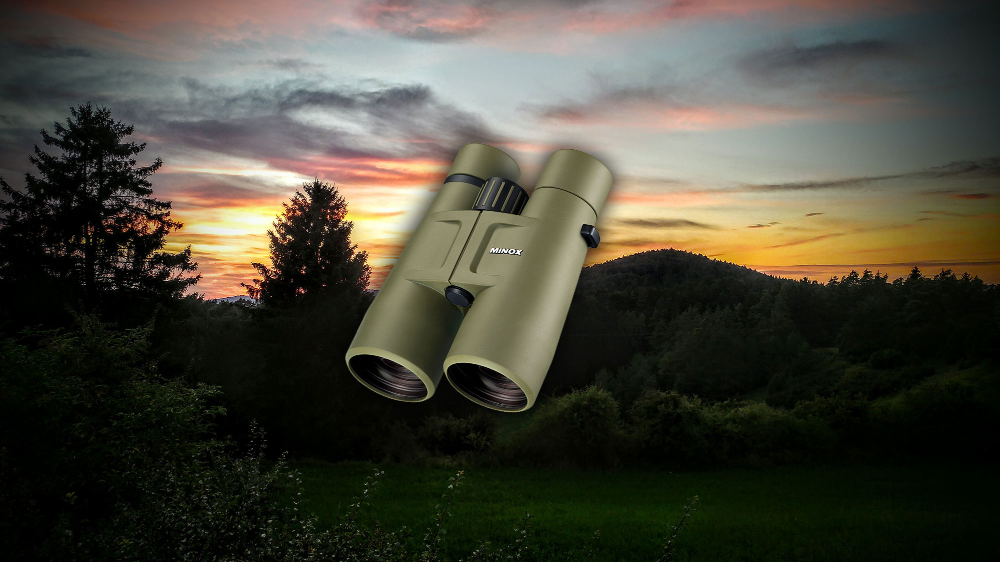 minox: MINOX BV 8x56 Fernglas Sonderedition in Grün