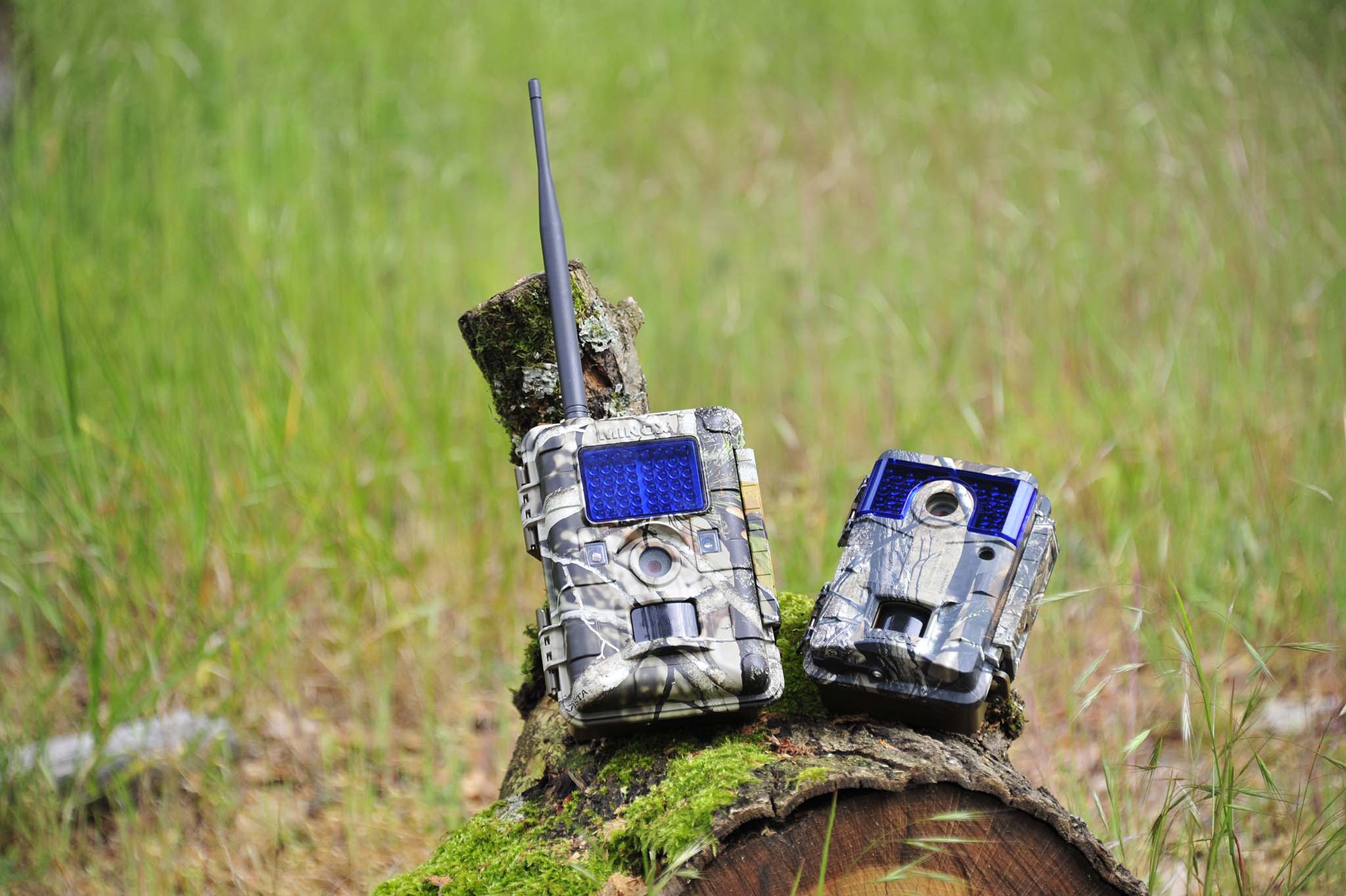 minox: MINOX DTC 700 und DTC 1100 Wildkamera im Test