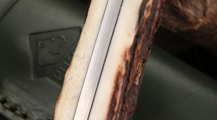 Griff des PUMA fau stag Jagdmessers mit Beschalung aus Hirschhorn von oben