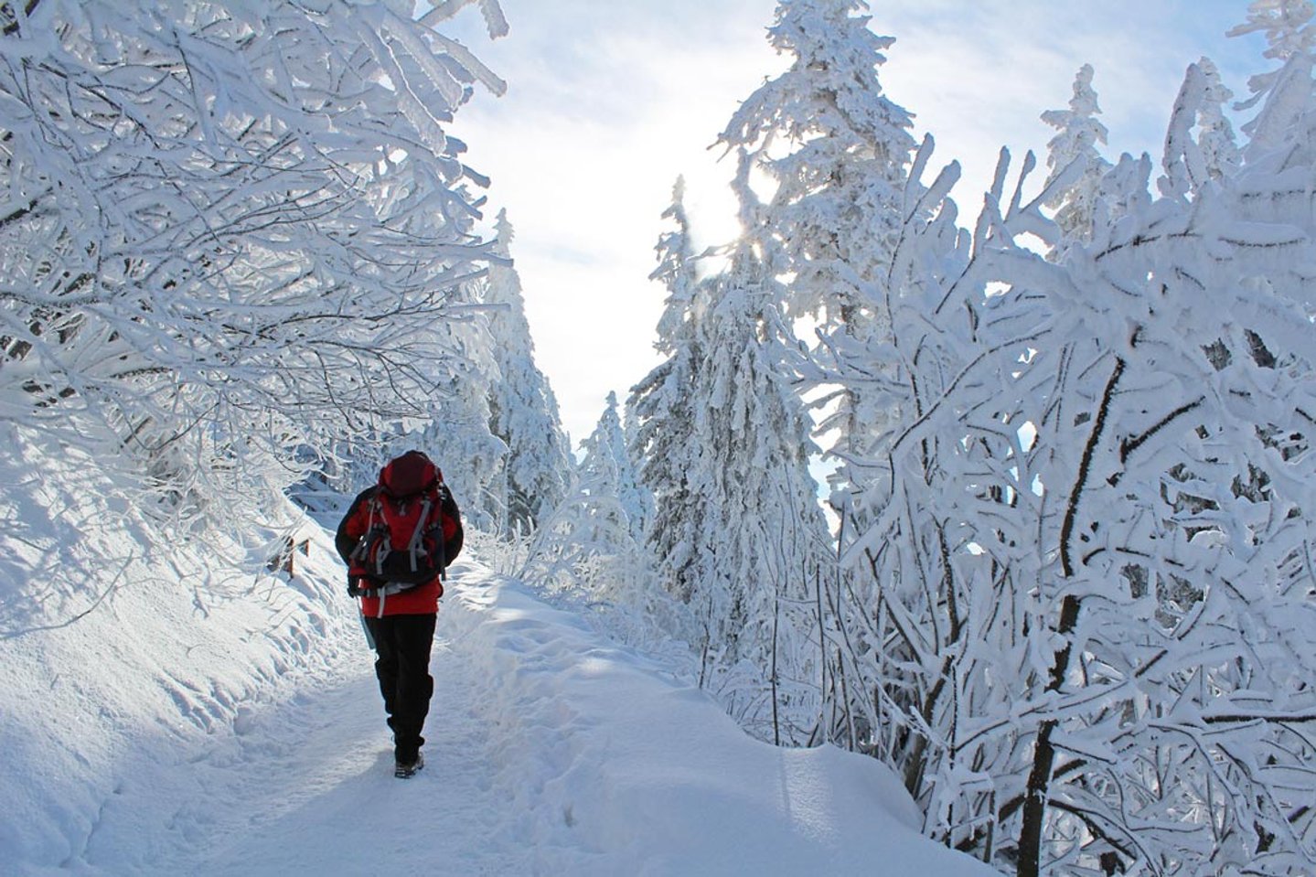 Snowline Chainsen Pro Schneeketten für Schuhe im Test Wanderer im Schnee