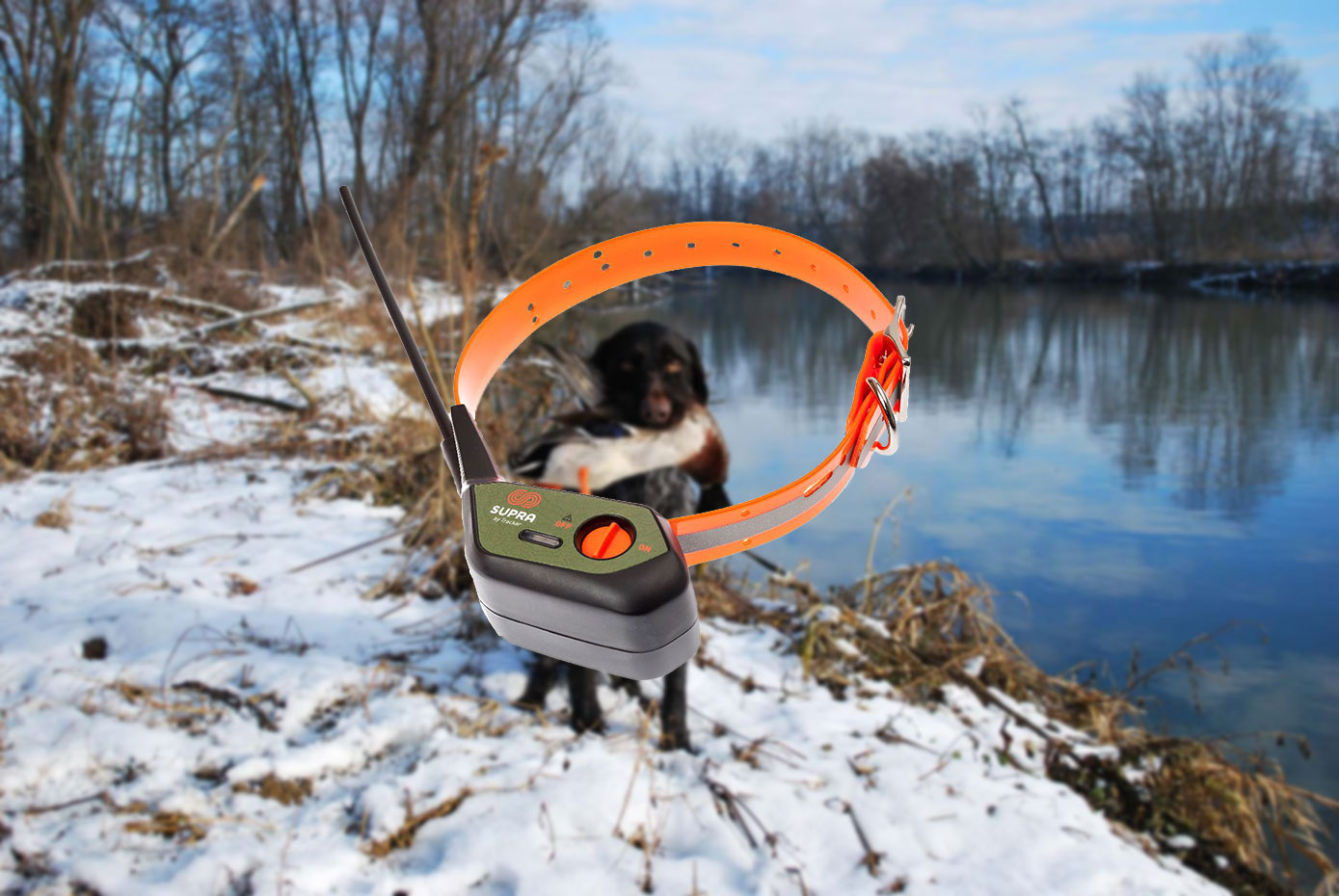 jagdhund: Ortung für den Jagdhund mit Tracker SUPRA jagdhund: Ortung für den Jagdhund mit Tracker SUPRA