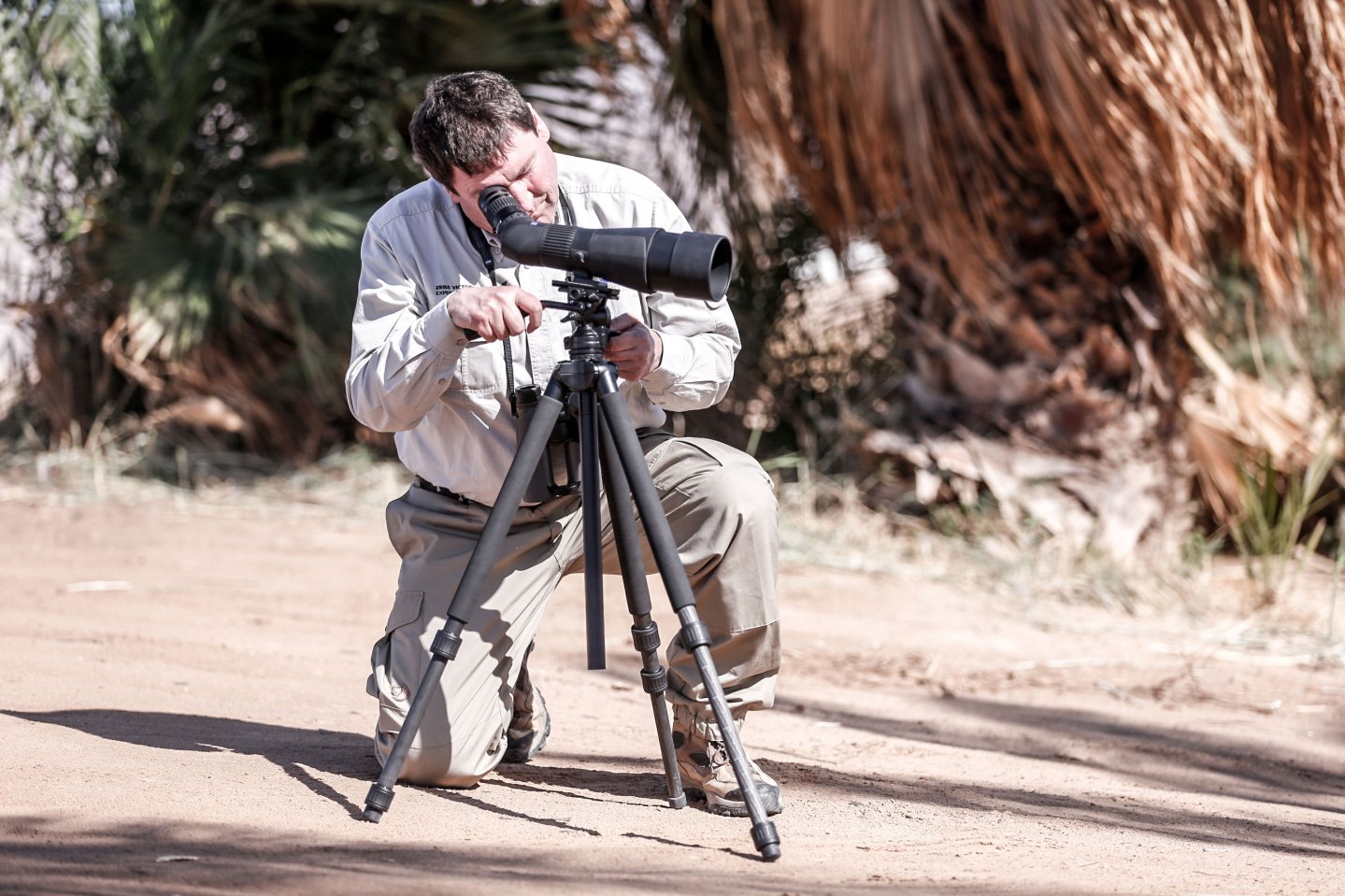 ZEISS Conquest Gavia 85 Spektiv ZEISS Spektiv mit Stativ