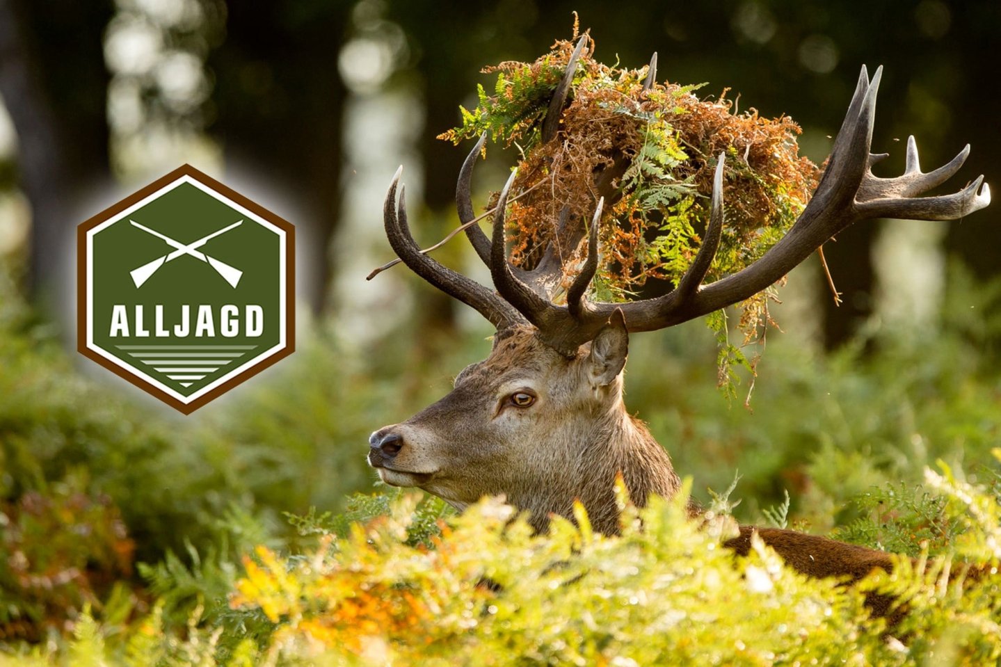 Hochwertiges Zubehör von ALLJAGD: Messer, Kleidung, Hundebedarf und Accessoires für Jäger im Angebot Hochwertiges Zubehör von ALLJAGD: Messer, Kleidung, Hundebedarf und Accessoires für Jäger im Angebot