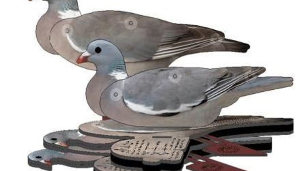 Faltbare Locktauben mit fotoähnlicher Oberfläche für die Taubenjagd