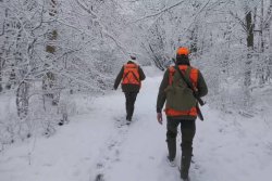 Die digitale Drückjagd Teil 2: Die Digitale Wildmarke "diwima" und Streckenvermarktung – Vorstellung mit Video Zwei Jäger auf einer Drückjagd im verschneiten Wald