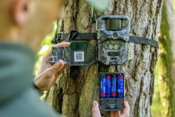 Neue Wildkamera: Die HIKMICRO T16 mit 4G-Verbindung, Dual-Sehfeld, Live-View und App-Anbindung Neue Wildkamera: Die HIKMICRO T16 mit 4G-Verbindung, Dual-Sehfeld, Live-View und App-Anbindung