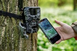 Neue Wildkamera: Die HIKMICRO T16 mit 4G-Verbindung, Dual-Sehfeld, Live-View und App-Anbindung Neue Wildkamera: Die HIKMICRO T16 mit 4G-Verbindung, Dual-Sehfeld, Live-View und App-Anbindung
