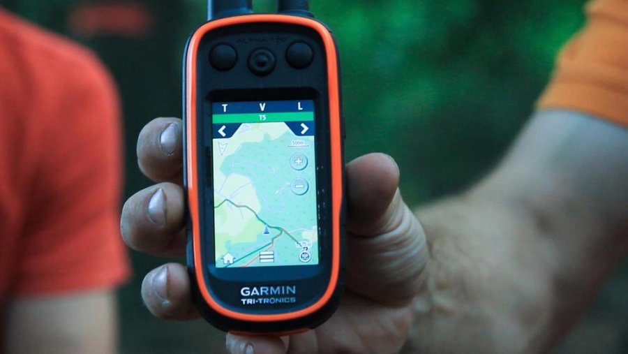 Schutz von Jagdhunden: Ortungsgeräte und Hundeschutzwesten Garmin Ortungssystem