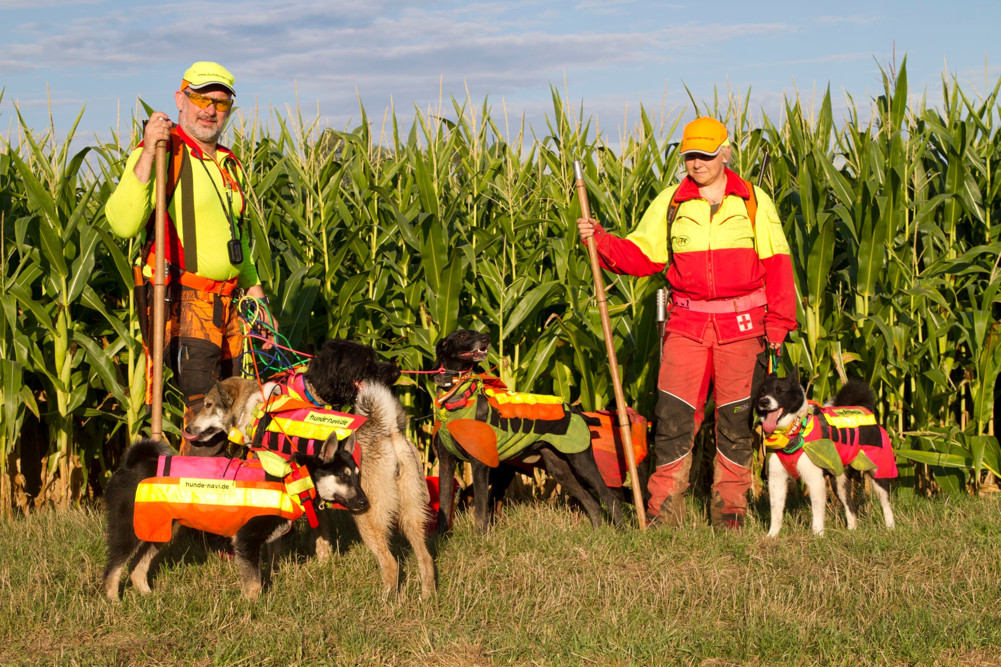jagd-ausruestung: Sicherheit bei der Jagd ist oberstes Gebot − auch für Ihren Jagdhund. Worauf Sie bei Schutzwesten für Hunde achten sollten jagd-ausruestung: Sicherheit bei der Jagd ist oberstes Gebot − auch für Ihren Jagdhund. Worauf Sie bei Schutzwesten für Hunde achten sollten
