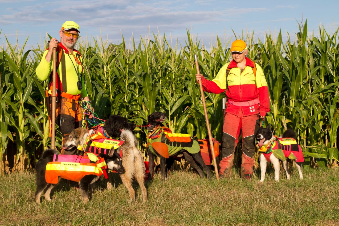 Hundeführer mit ihren Hund bei der Maisjagd.