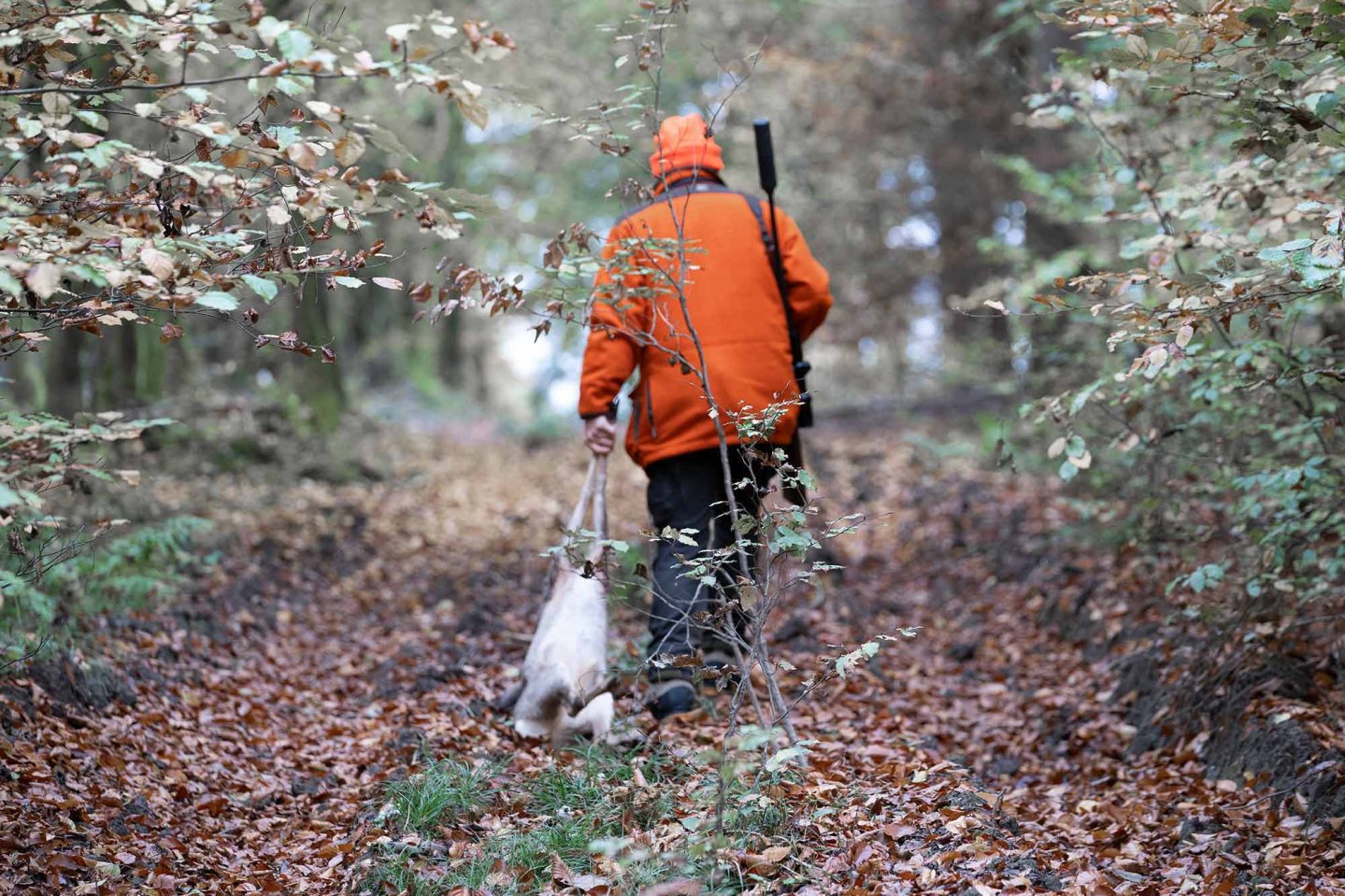 PUMA Jagdmesser Waldszene
