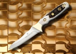 Puma-Gewinnspiel zur Newsletter-Anmeldung Puma waidwerk stag