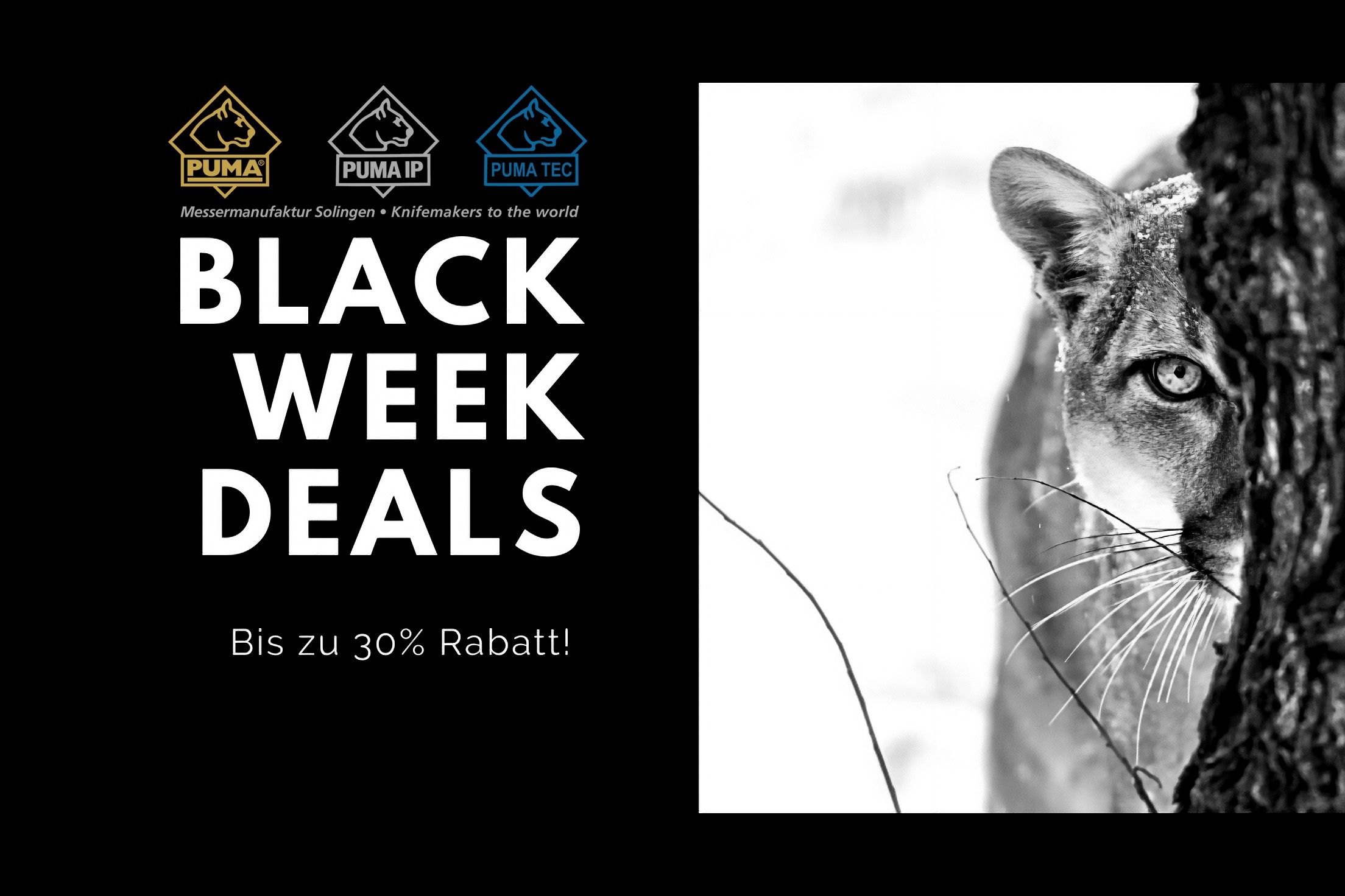 puma-messer: PUMA Knifes: Black Friday 2024 – hier gibt's ausgewählte Messer-Highlights mit interessanten Rabatten bis zu 30 % puma-messer: PUMA Knifes: Black Friday 2024 – hier gibt's ausgewählte Messer-Highlights mit interessanten Rabatten bis zu 30 %