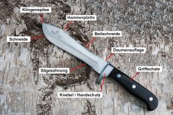 Test: PUMA Survival Wood und Survival G10 – wie gut sind die Bowie-Messer in der Tradition des White Hunters? Detailbenennung am PUMA Survival Wood