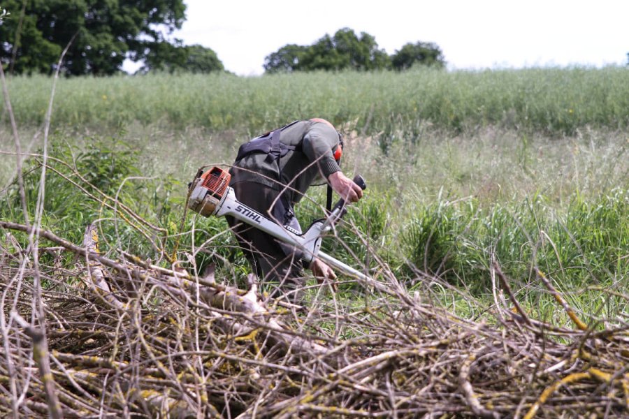 Naturschutz im Revier: Freischneider STIHL FS350 im Test Naturschutz mit Freischneider STIHL FS350