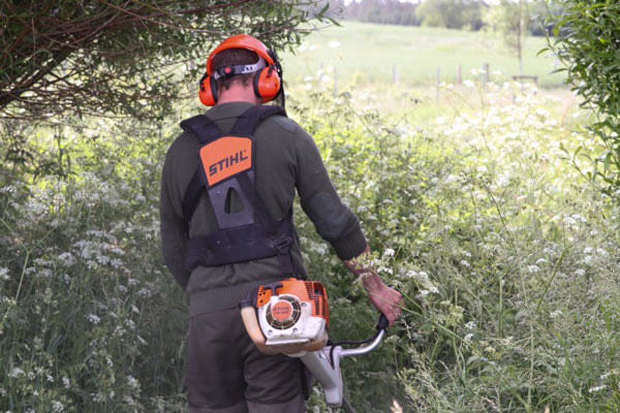 Naturschutz im Revier: Freischneider STIHL FS350 im Test Freischneider im Revier