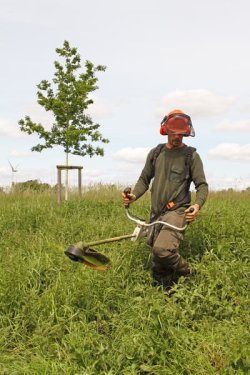 Naturschutz im Revier: Freischneider STIHL FS350 im Test Motorsense STIHL FS350 im Einsatz