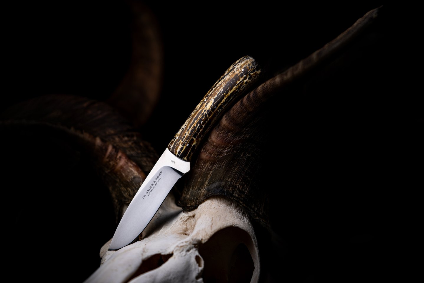 Das neue Sauer Jahresmesser 2024 Oshipa auf einen Kudu-Schädel trappiert.