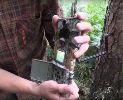 Wildkameras: Funktionen und Tipps und Tricks für tolle Bilder Anbringen einer MINOX DTC 450 Wildkamera mittels Baumstativ