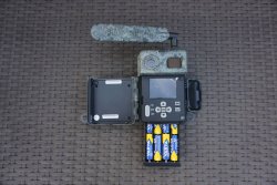 ZEISS Secacam 5 und 7: Die ersten Wildkameras von ZEISS fürs Revier und zur Grundstücksüberwachung können Sie mit attraktiven Prepaid- oder Abo-Paketen nutzen Die ZEISS Seacam 7 besitzt ein entnehmbares Batteriefach.