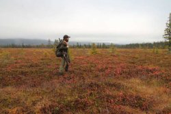 Zamberlan Hunter Pro GTX RR Jagdstiefel im Test Jäger in der Tundra von Lappland in Schweden