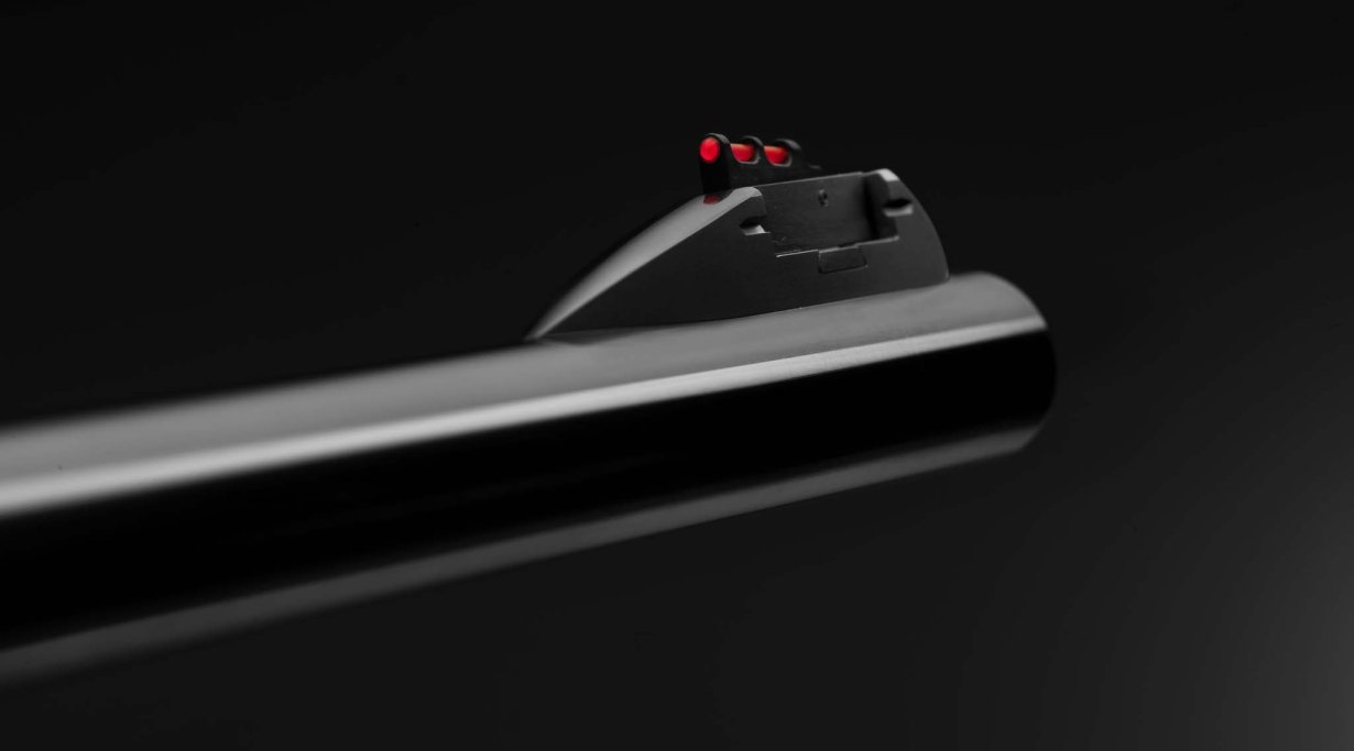 Benelli Raffaello 20 Slug: Kimme