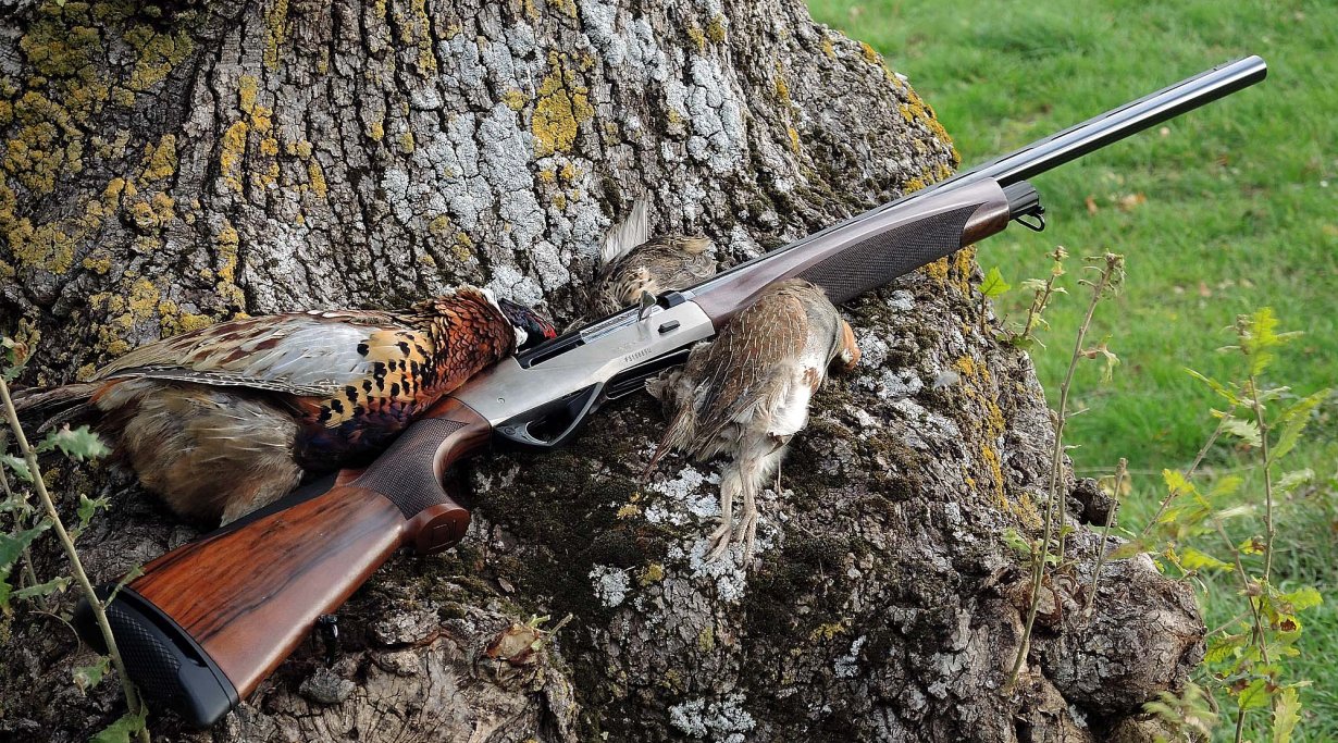 Benelli Raffaello Power Bore 12