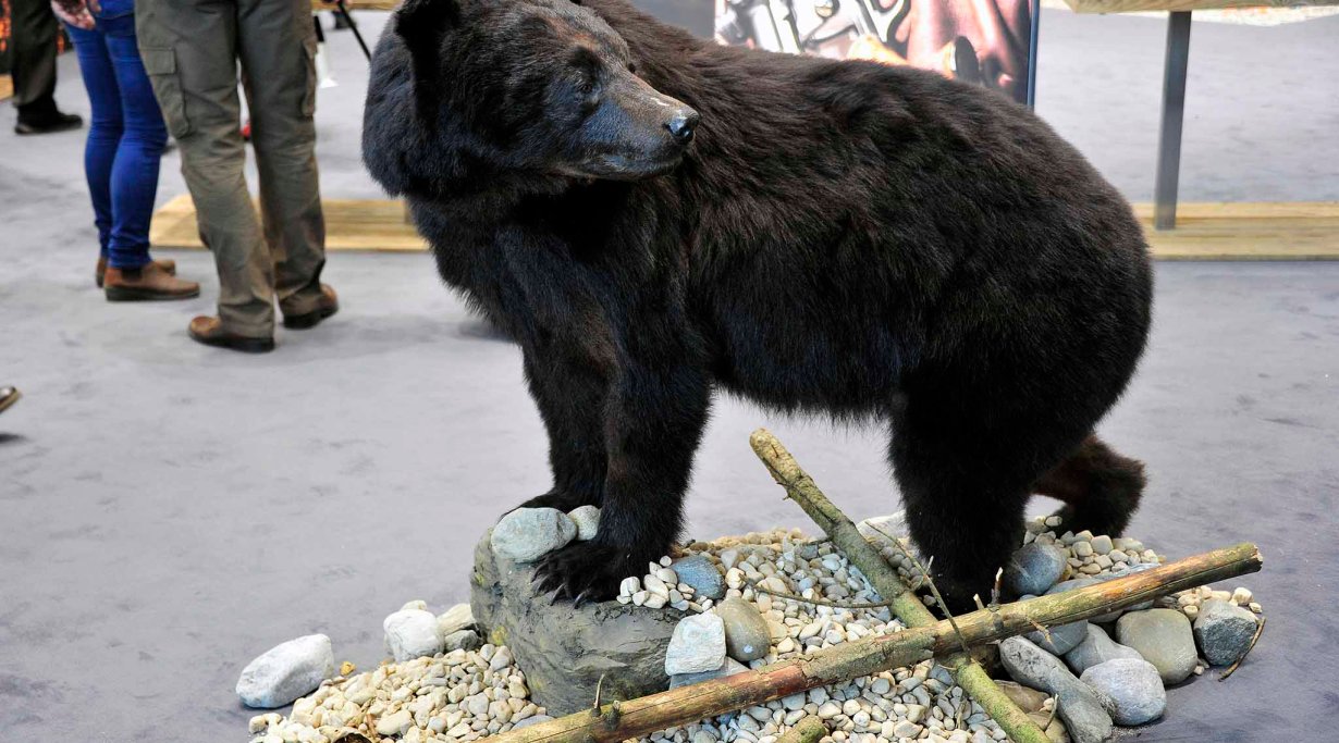 Game at Blaser booth, IWA 2016