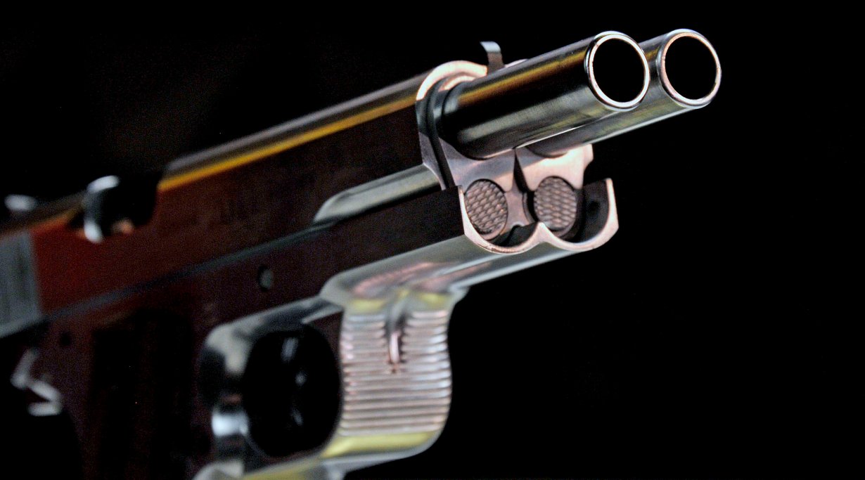 ARSENAL FIREARMS AF-2011 A1 "Second Century"