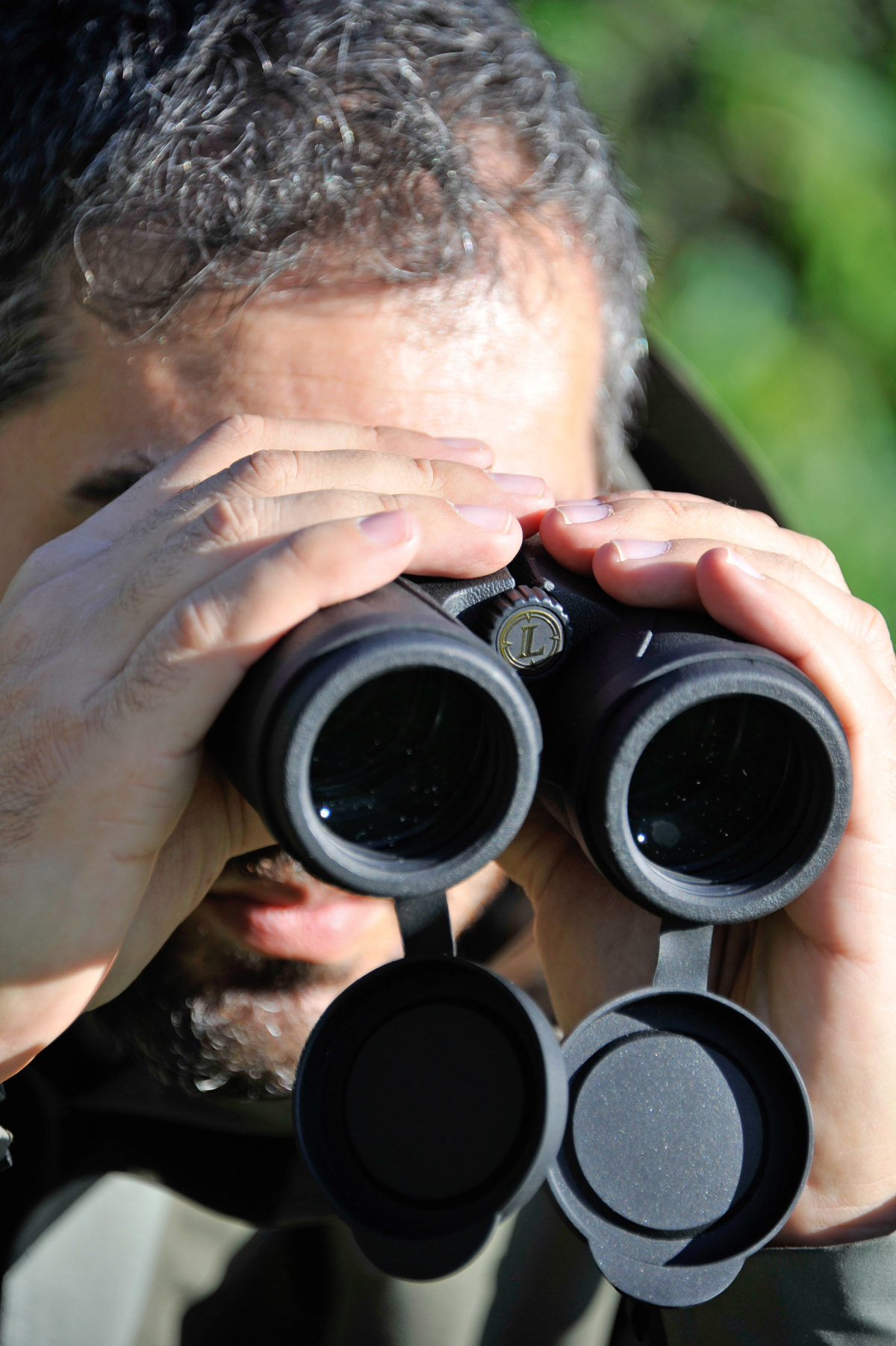 Die 8x42er mittelpreisigen Ferngläser von MEOPTA, NIKON und LEUPOLD