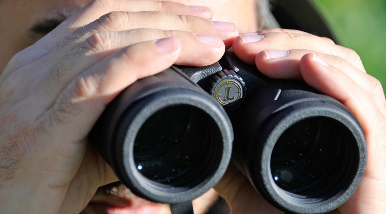 Die 8x42er mittelpreisigen Ferngläser von MEOPTA, NIKON und LEUPOLD