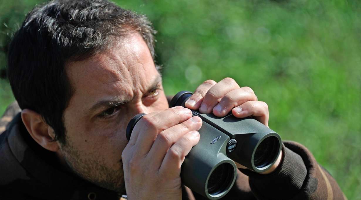 Die 8x42er mittelpreisigen Ferngläser von MEOPTA, NIKON und LEUPOLD