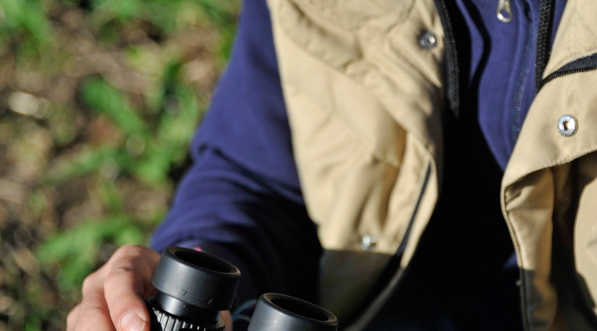 Die 8x42er mittelpreisigen Ferngläser von MEOPTA, NIKON und LEUPOLD