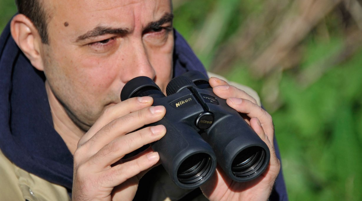 Die 8x42er mittelpreisigen Ferngläser von MEOPTA, NIKON und LEUPOLD