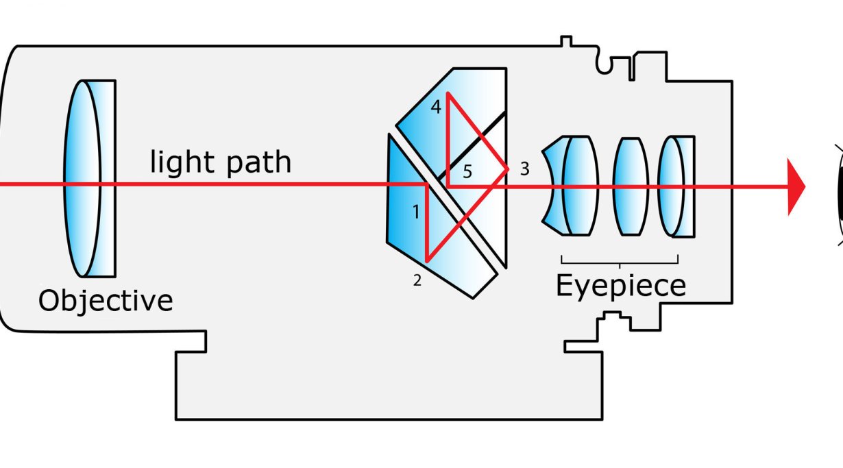 Galerie: Die Funktionsweise von Ferngläsern