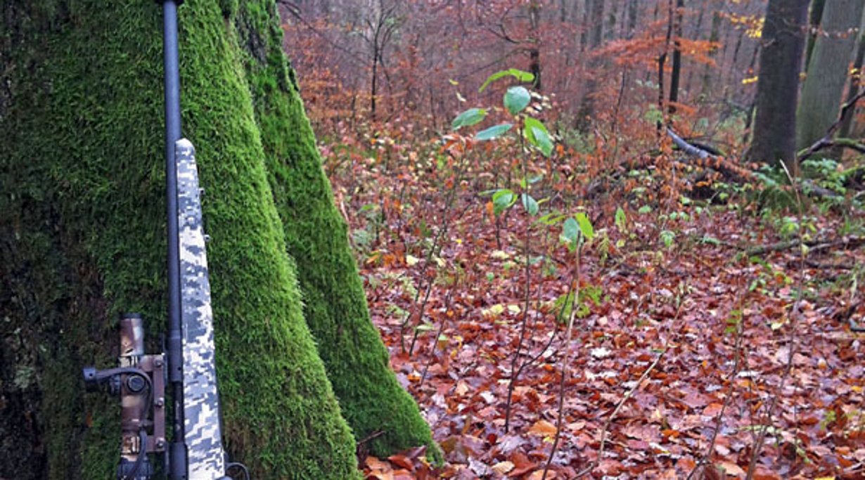 Blaser R93 mit Schalldämpfer