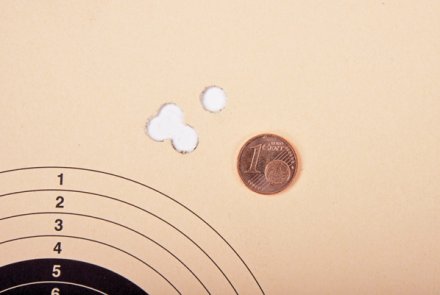 Test Albert Arms ALR-300 MEN SFC: Schussbild auf 100 m