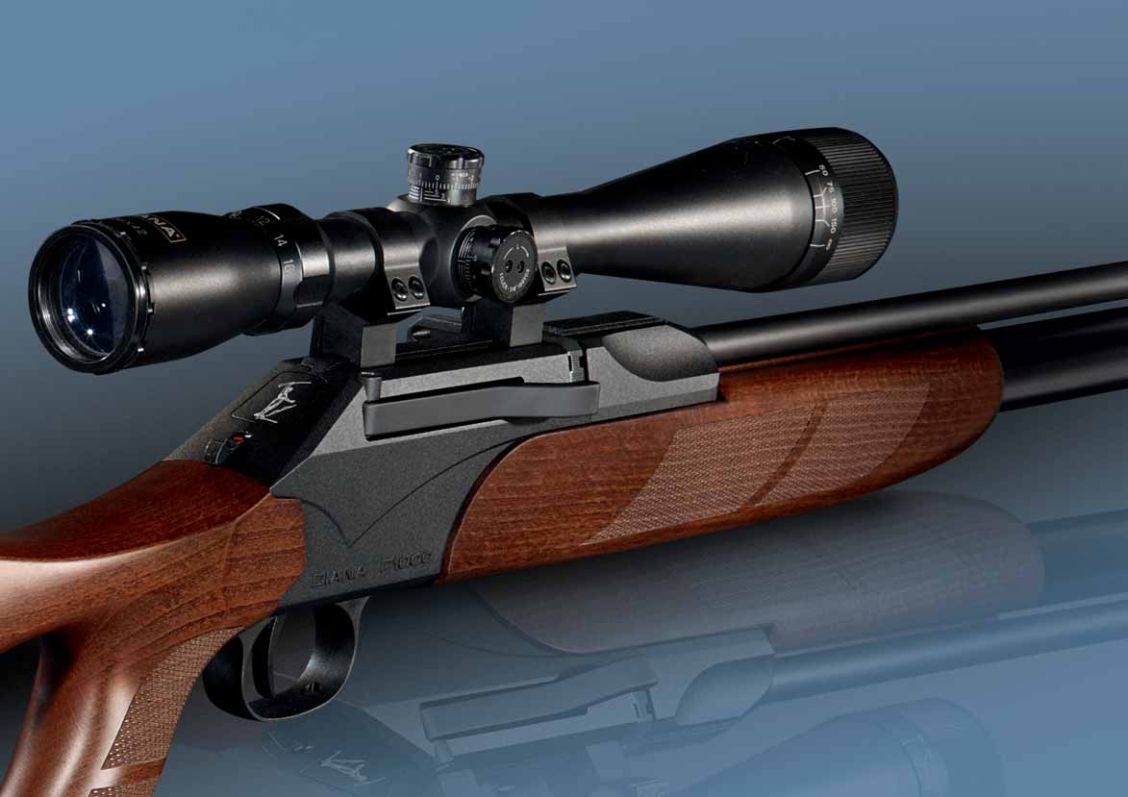 diana-airguns: Diana P-1000 PCP: Pressluft de luxe