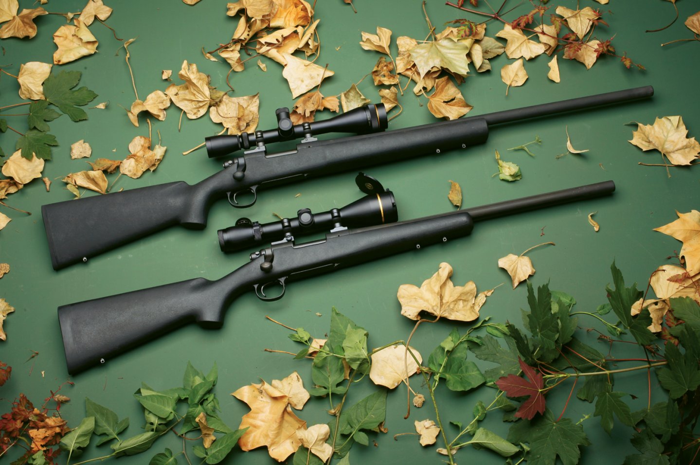 Verschiedene Lauflängen: Verschiedene Lauflängen: