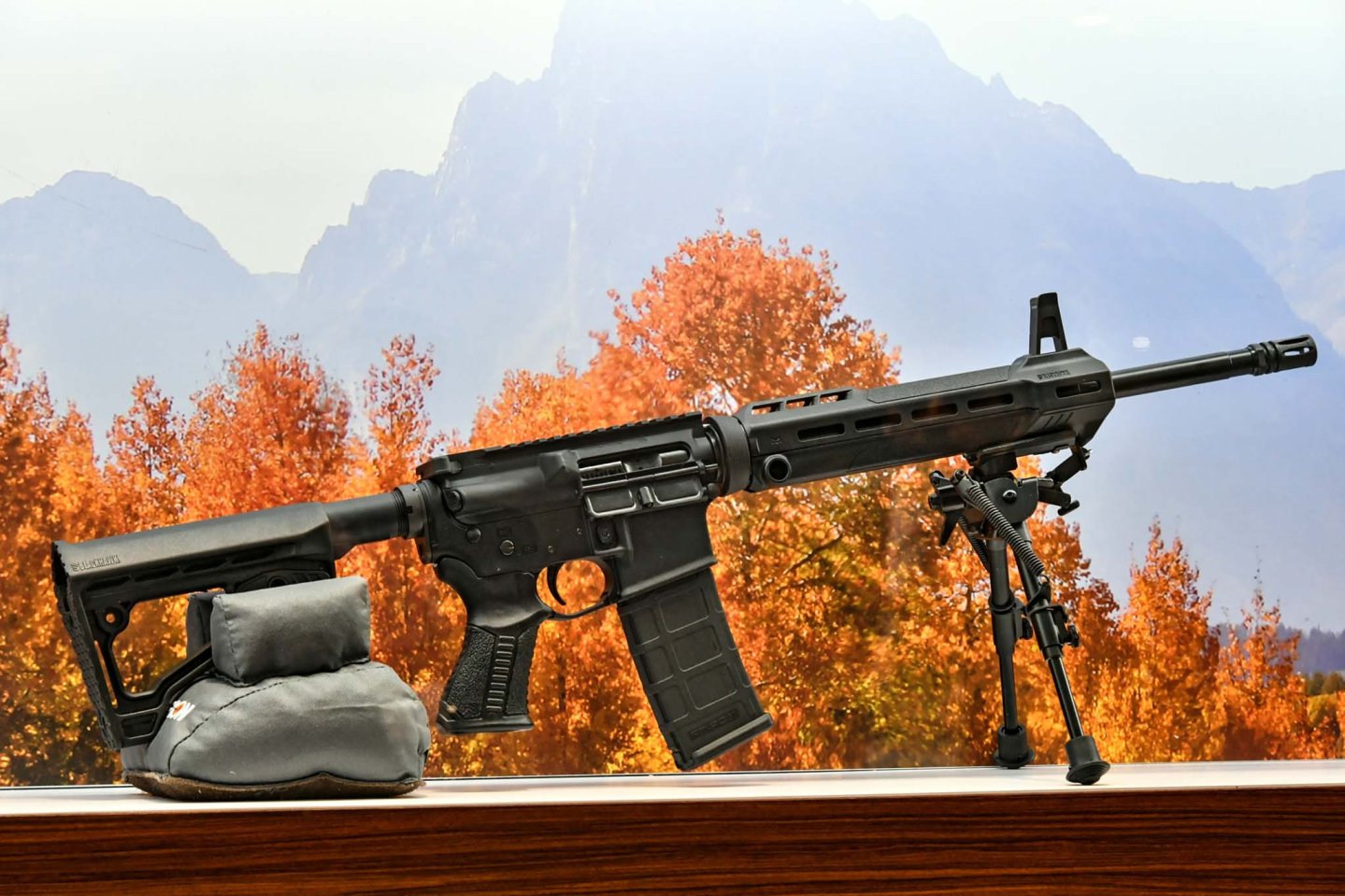 Savage Arms MSR-15 Patrol