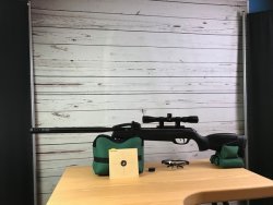 Test: mehrschüssiges Knicklauf-Luftgewehr GAMO Replay-10 MAXXIM Schießtest des 10-schüssigen Knicklauf-Luftgewehrs GAMO Replay-10 MAXXIM
