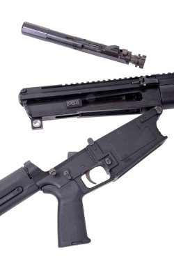 Test Albert Arms ALR-300 aufgeklapptes Systemgehäuse und herausgenommener Verschluss des ALR-300