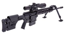 Test Albert Arms ALR-300 ALR-300 in der Ansicht von rechts