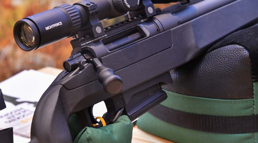 Daniel Defense Delta 5 Hinterschaft.