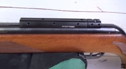 GAMO Fast Shot 10X IGT Luftgewehr GAMO Fast Shot 10X IGT Luftgewehr Schiene