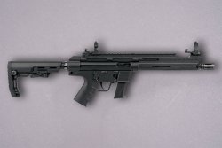 German Sport Guns GSG-9: Die Modelle Sport und Rifle im ausführlichen Test GSG-9 Sport Compact.
