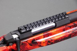 Montageschiene der Sabatti TLD Red Long-Range Repetierbuechse 