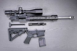 Testbericht: SIG M400 SDPC in .223 Remington SIG M 400 SDPC in .223 Remington zerlegt in ihre Einzelteile