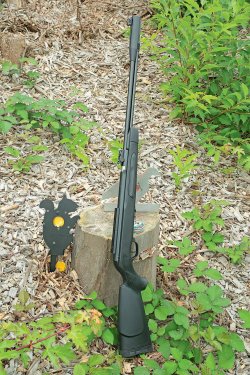Test: Luftgewehr GAMO CF-X Luftgewehr GAMO CF-X im Test